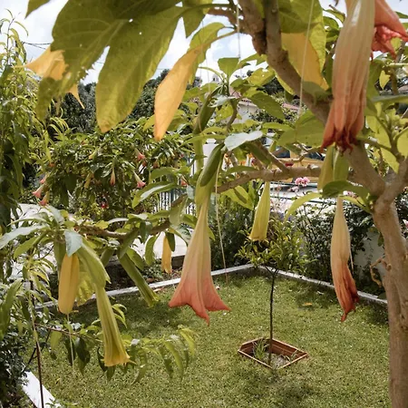 Apartament Anna Maria