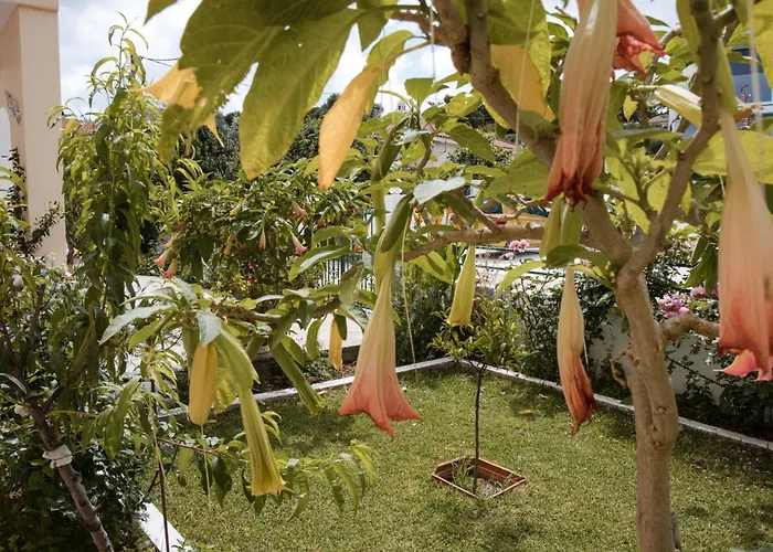 Apartmán Anna Maria